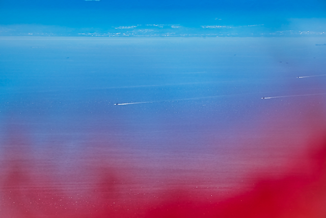 真っ赤なサルビアの花を思い切りよってぼかして大阪湾を走っている船を撮影しました。思い切り真っ赤なサルビアをぼかすことで青と赤の２色になりました。