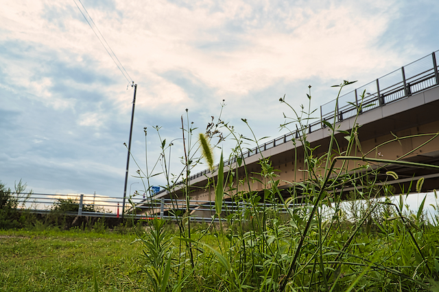 F11で撮影した橋と草の写真。F値を大きくした事で全体的にピントがあってしまい、何を被写体にしているのか分からなくなってしまいました。