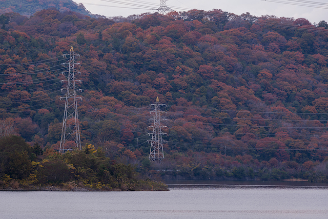 権現ダムには副題となるものが少ないのですが、電灯と色付いた紅葉を撮ってみました。