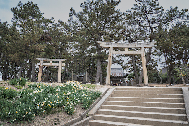 魚住住吉神社とスイセンの花が咲いていた場所紹介画像写真。鳥居が2つあり大きな鳥居と小さな鳥居がありました。ちょうどその間にスイセンの花が咲いていたので、鳥居と一緒にスイセンの花を撮ることが出来ました。
