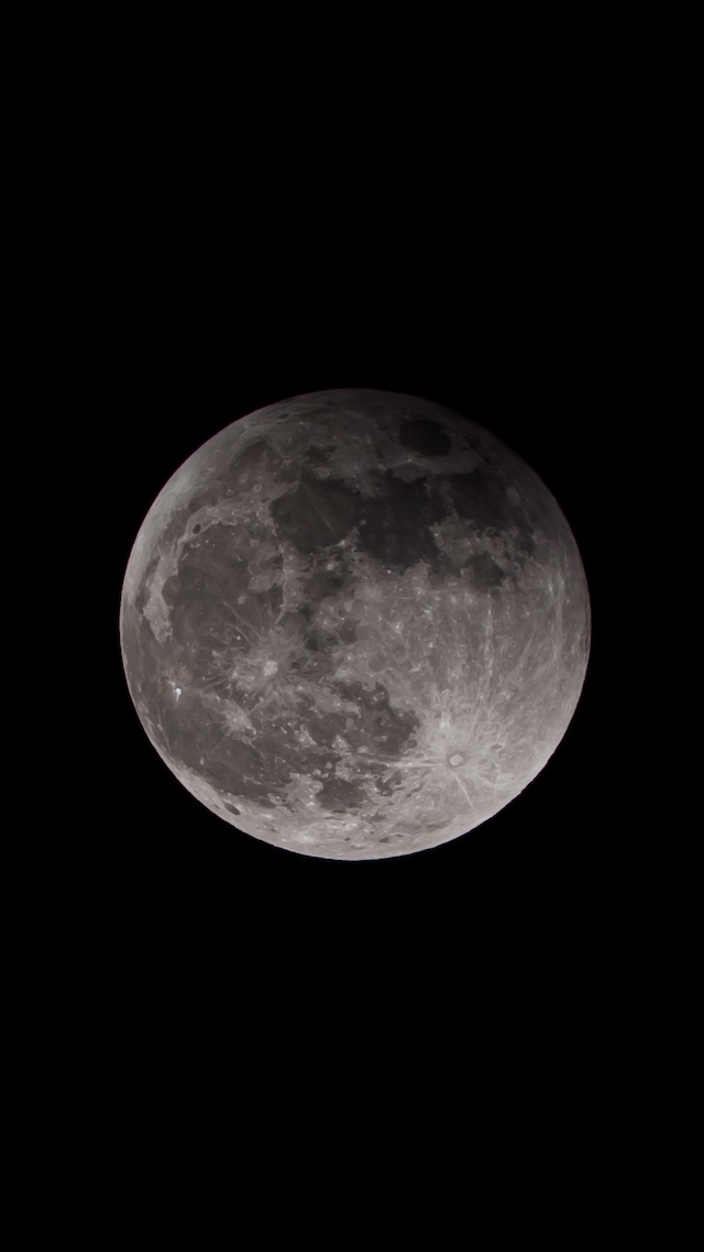 月だけにピントを合わせて撮影しました。月にピントを合わせてみることで月の表面を撮る事が出来ました。