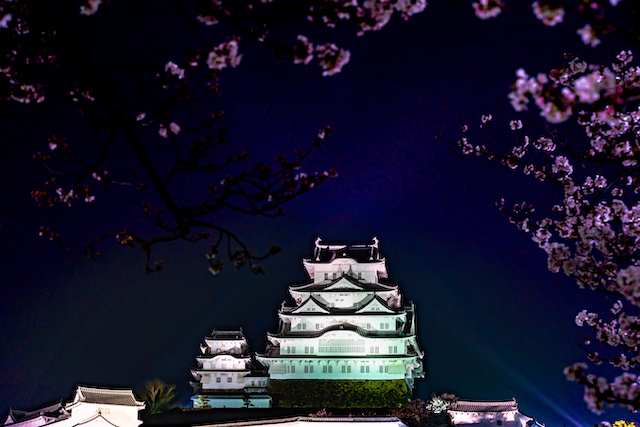 夜の姫路城と桜のライトアップの様子。画面中央に姫路城を置いて空の部分に少ない桜の花を配置してみました。