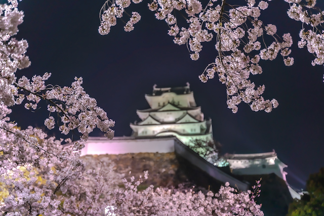 桜を主題として姫路城を副題にしてみました。