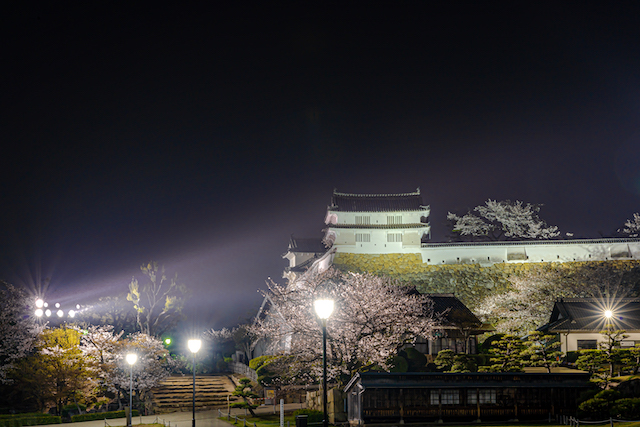 姫路城に照らされるライトアップの様子。