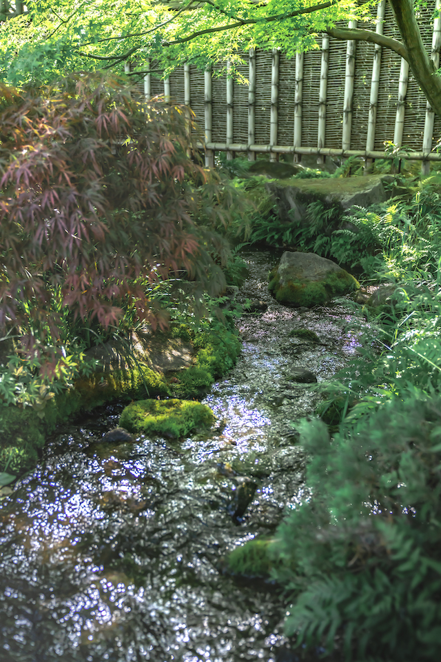 好古園内には小さな小川がたくさんあります。シャッタースピードを上げて手持ちで撮ってみました。小川と緑の木々だけを撮ってみました。